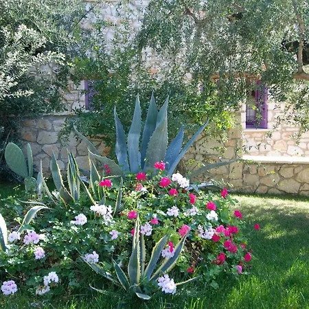 Aresti Luxury Villas